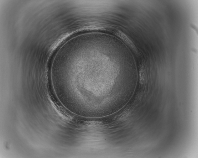 X0000101160436200807071202