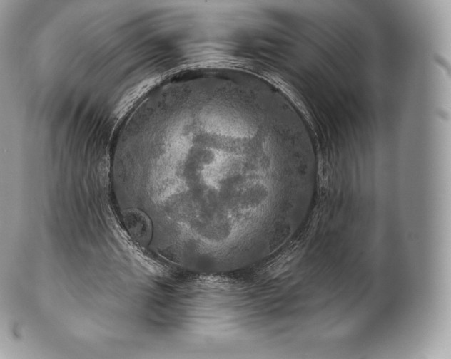 X0000101160437200807071202