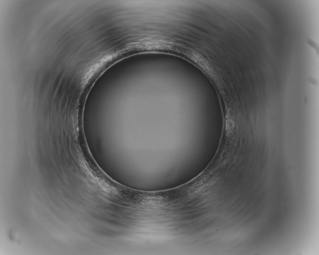 X0000101160438200807071202