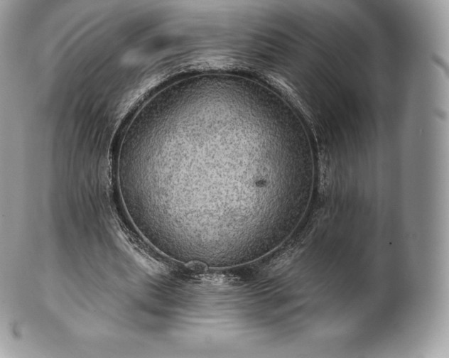 X0000101160439200807071202