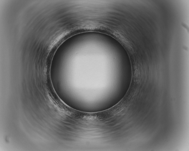 X0000101160440200807071202