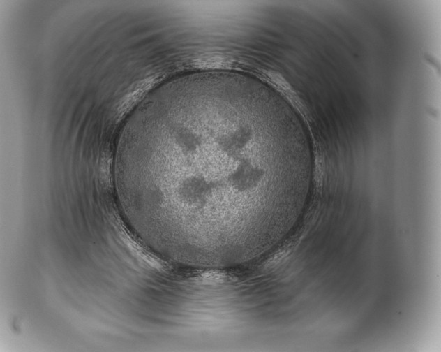 X0000101160441200807071202