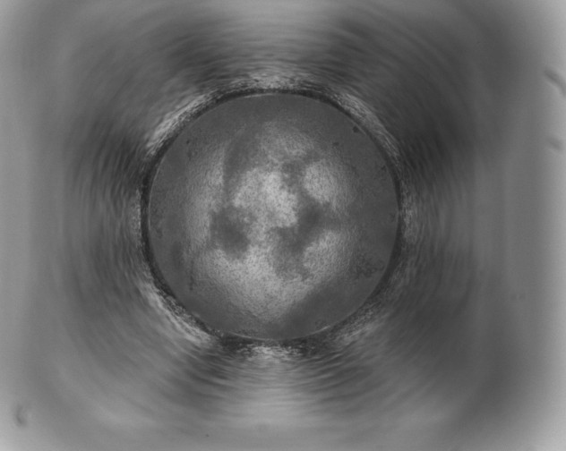 X0000101160442200807071202