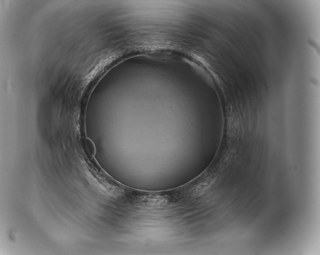 X0000101160443200807071202