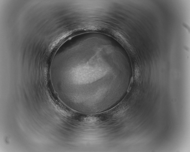 X0000101160444200807071202