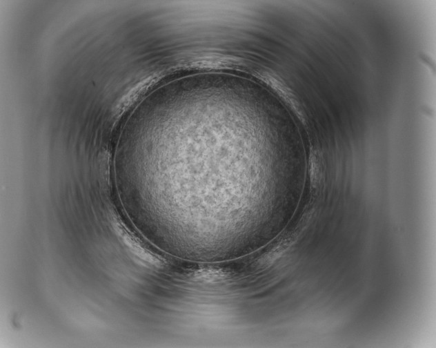 X0000101160445200807071202