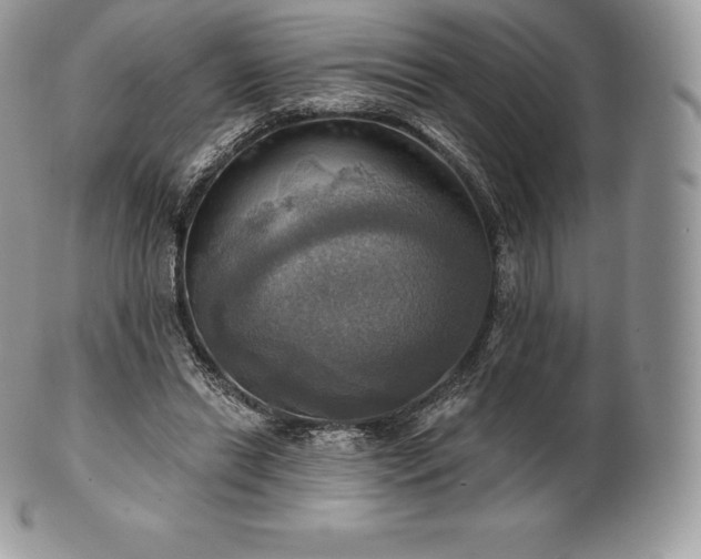 X0000101160446200807071202