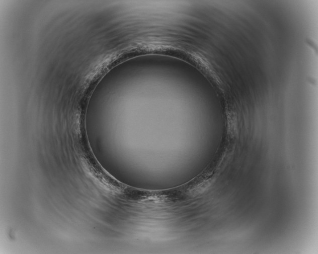 X0000101160447200807071202