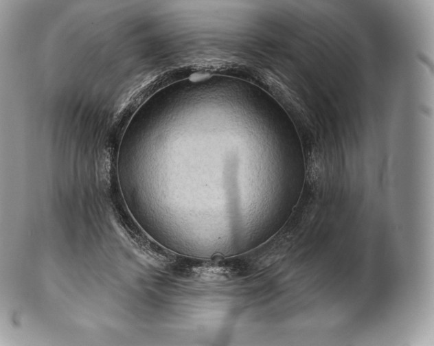 X0000101160448200807071202