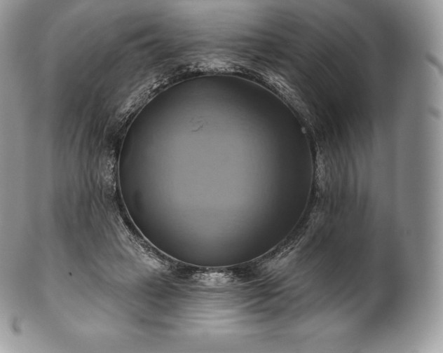 X0000101160449200807071202