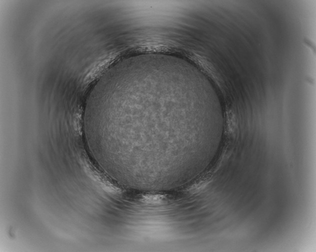 X0000101160450200807071202