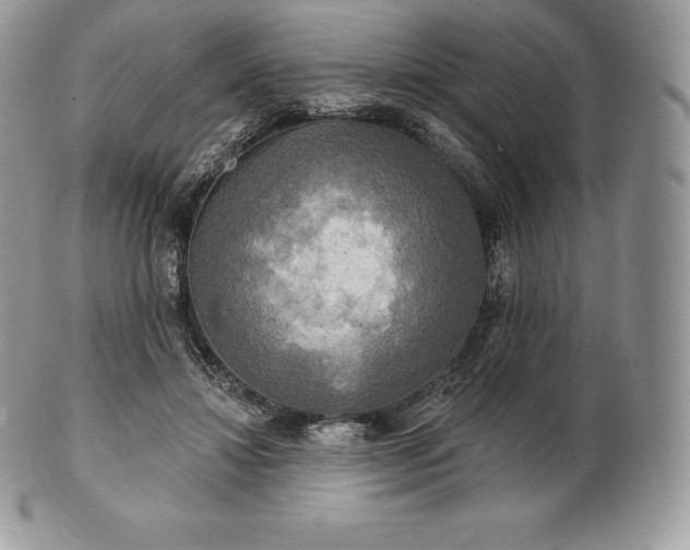 X0000101160452200807071202