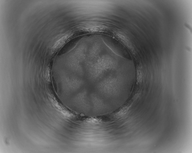 X0000101160453200807071202