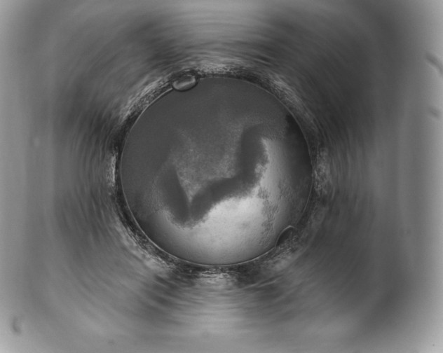 X0000101160454200807071202