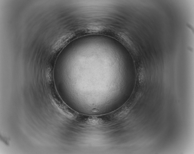 X0000101160455200807071202