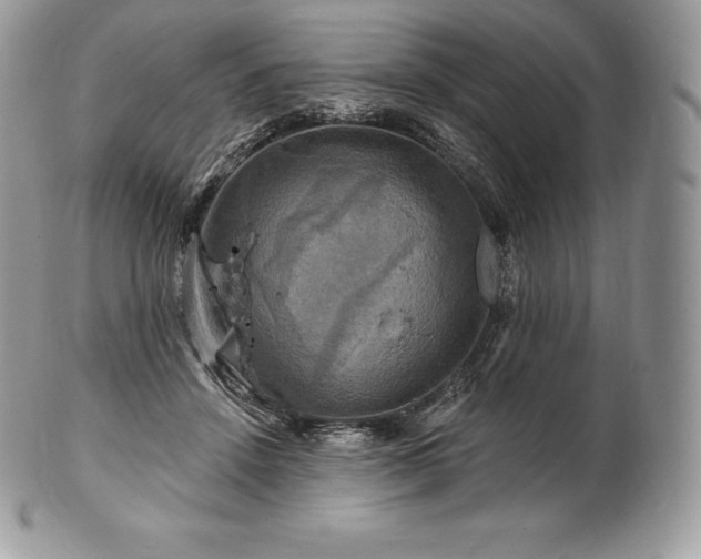 X0000101160456200807071202