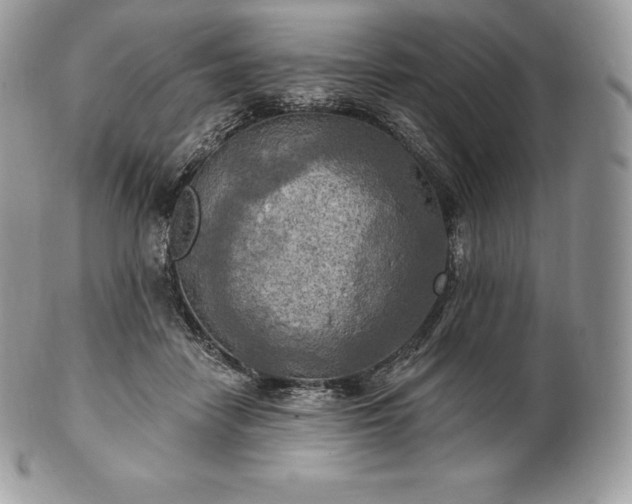 X0000101160458200807071202