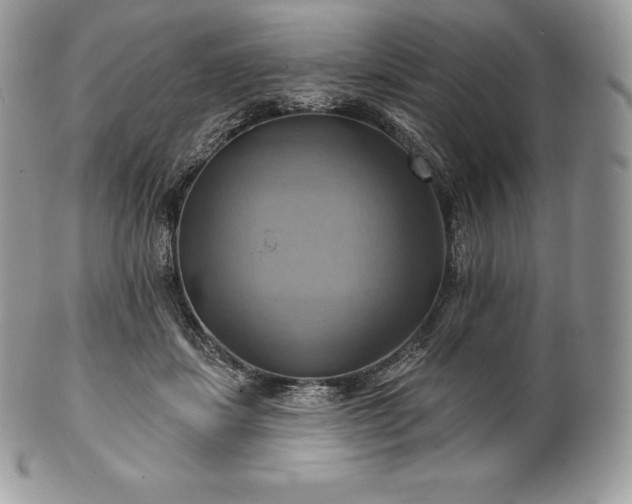 X0000101160459200807071202