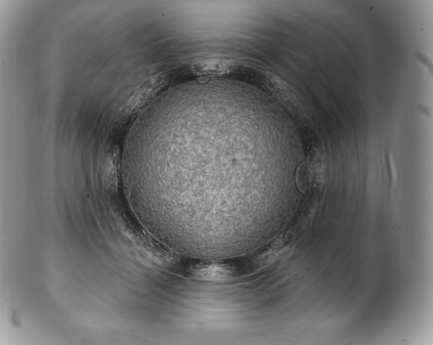 X0000101160460200807071202