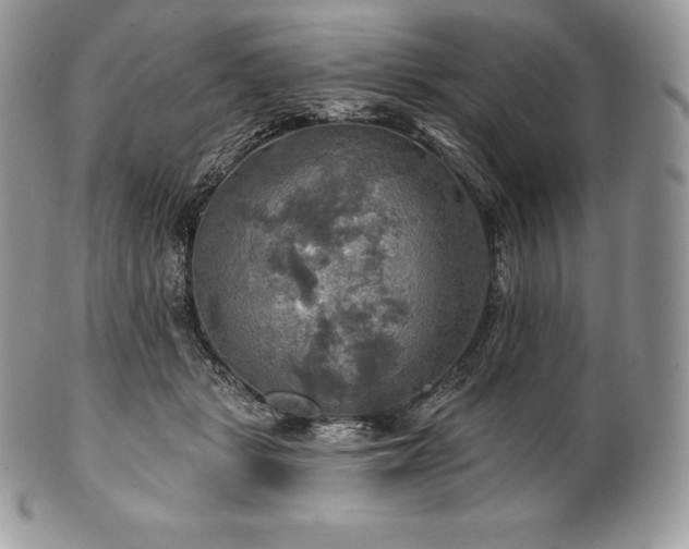 X0000101160461200807071202