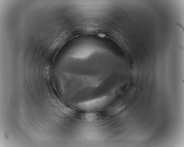 X0000101160462200807071202