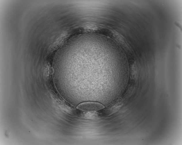 X0000101160463200807071202