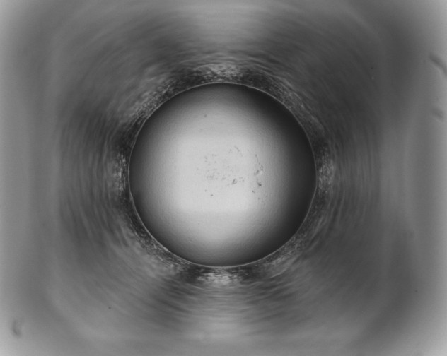 X0000101160464200807071202