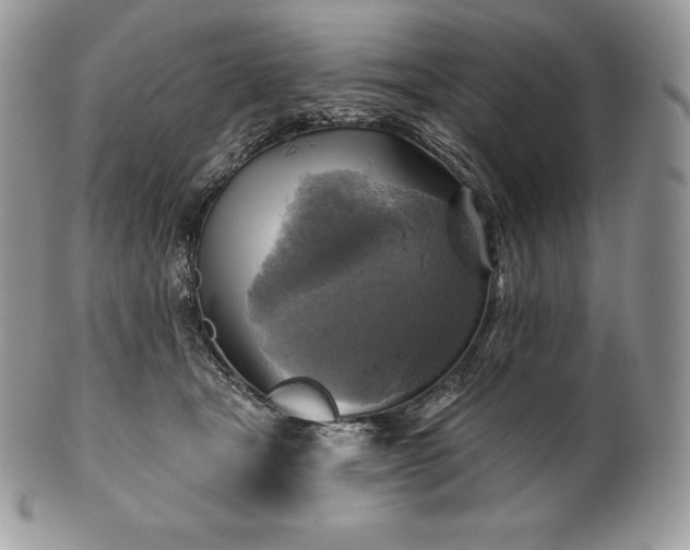 X0000101160465200807071202