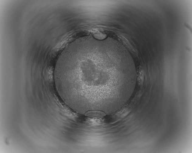 X0000101160466200807071202