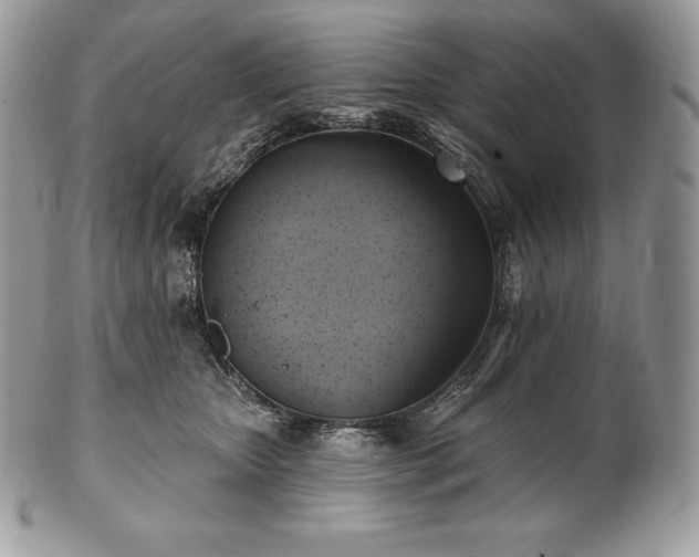 X0000101160467200807071202