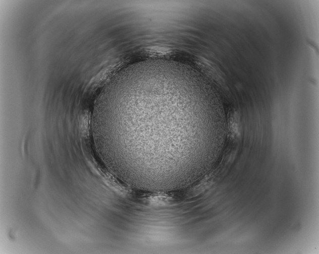 X0000101160468200807071202