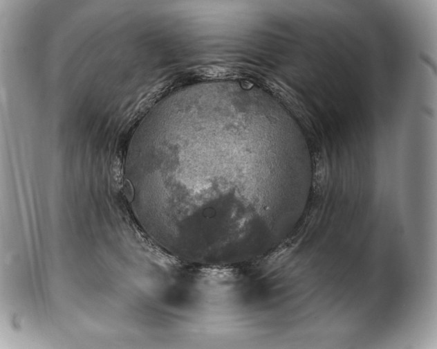 X0000101160469200807071202