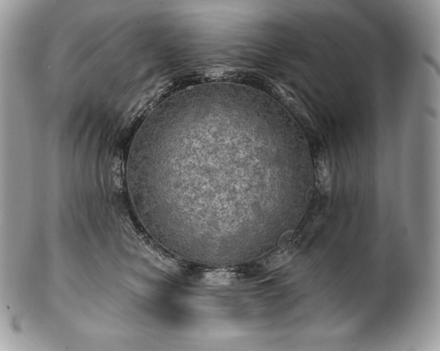 X0000101160470200807071202