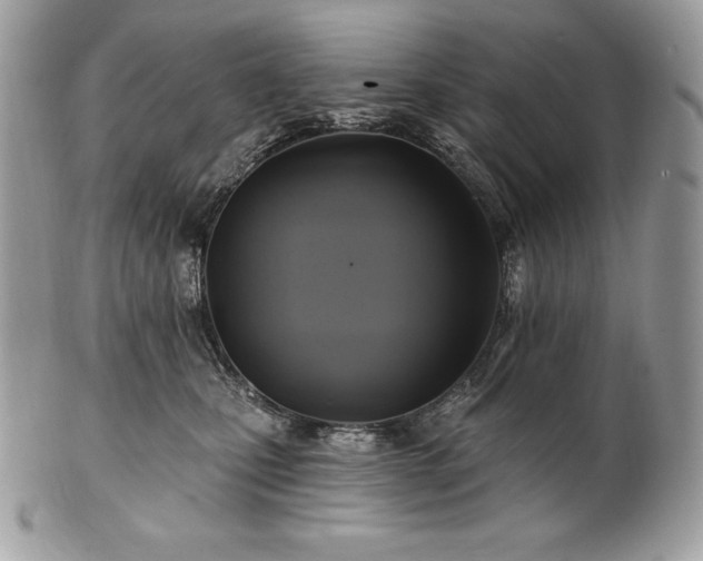 X0000101160471200807071202