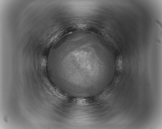 X0000101160472200807071202