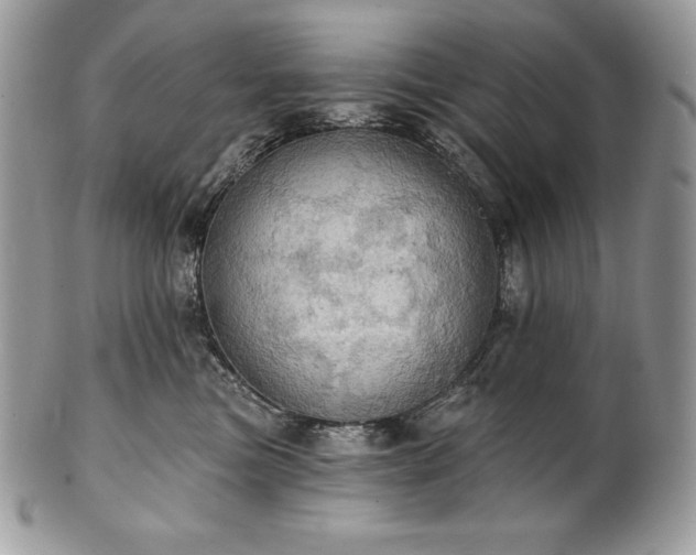 X0000101160473200807071202