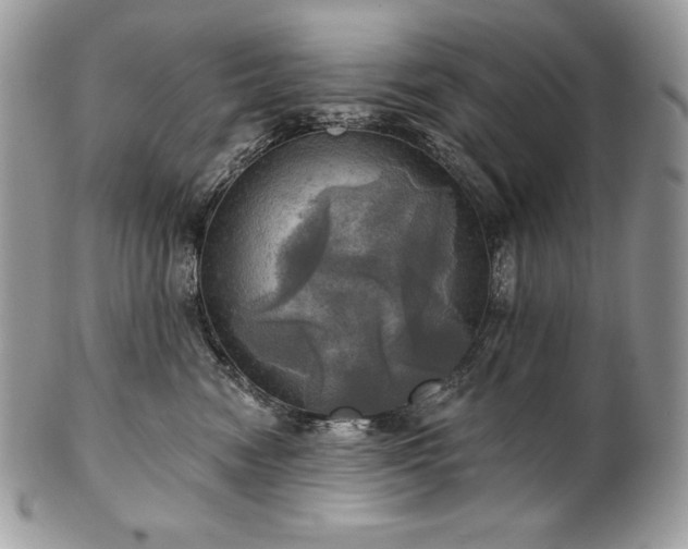 X0000101160474200807071202