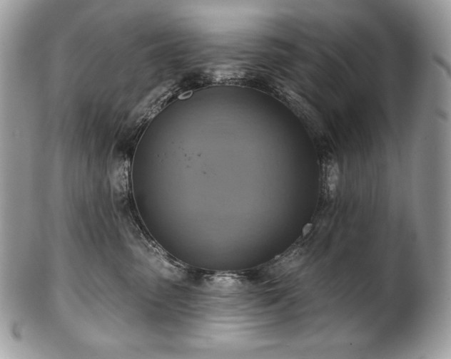 X0000101160475200807071202