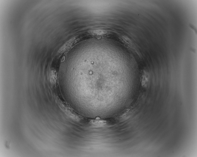 X0000101160476200807071202