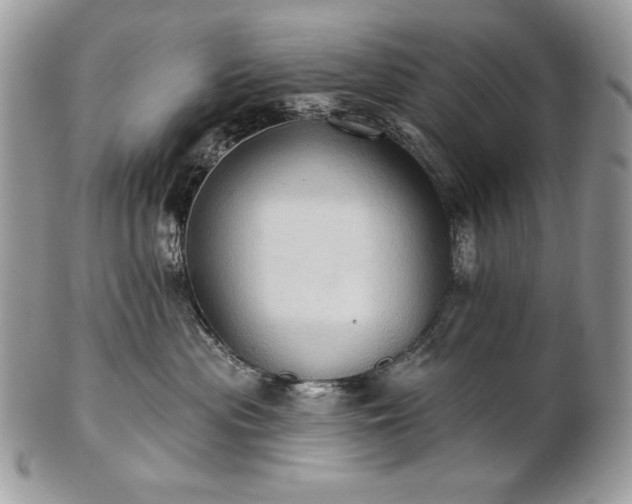 X0000101160477200807071202