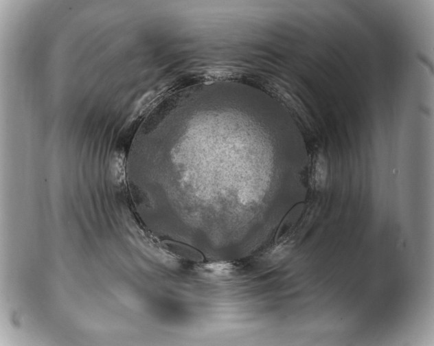 X0000101160478200807071202