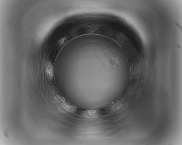 X0000101160479200807071202