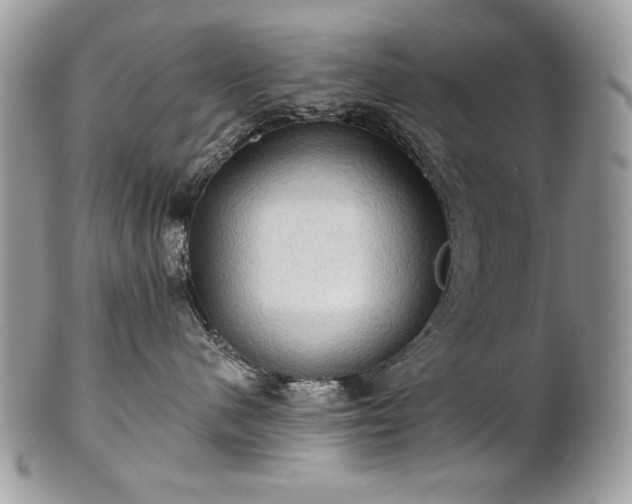 X0000101160480200807071202