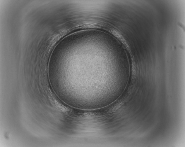 X0000101160481200807071202