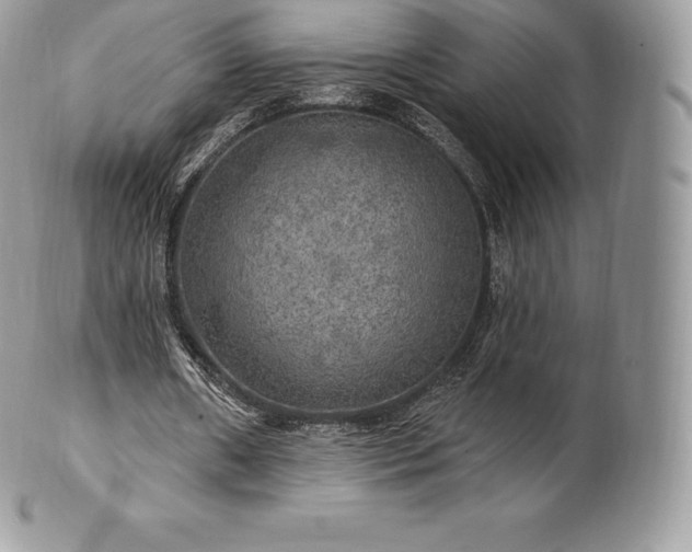 X0000101160482200807071202