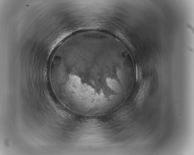 X0000101160483200807071202