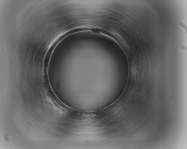 X0000101160484200807071202