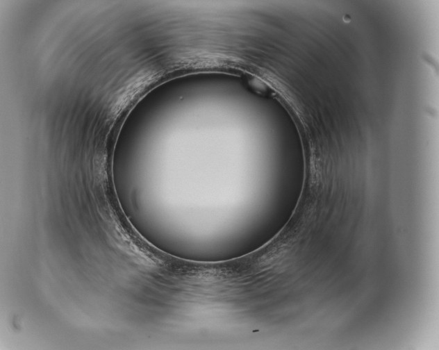 X0000101160485200807071202