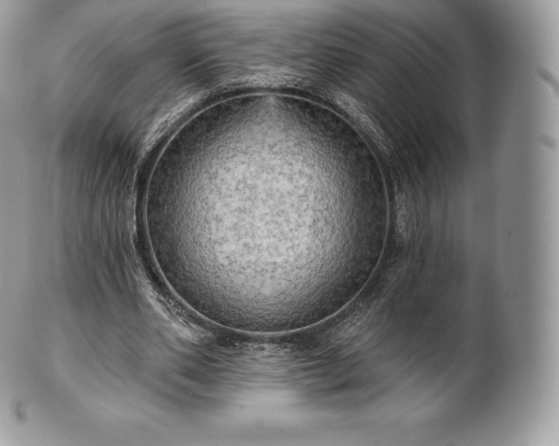 X0000101160486200807071201