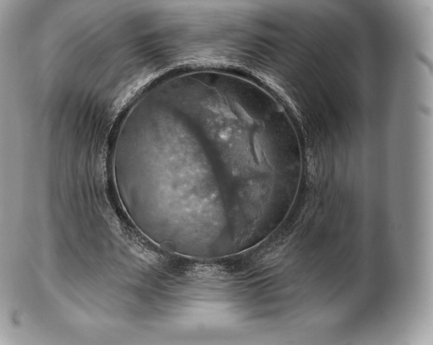 X0000101160487200807071201